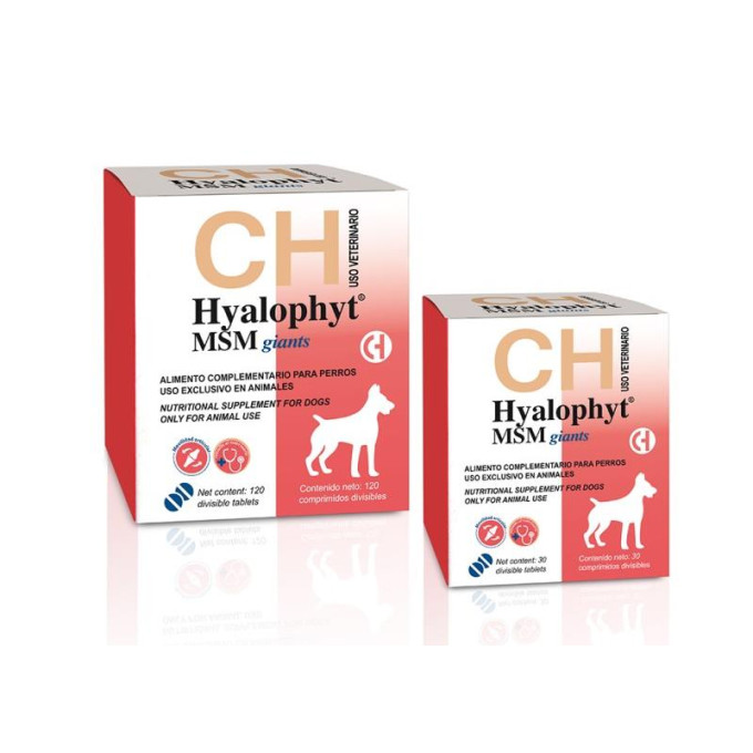 HYALOPHYT MSM GIANTS