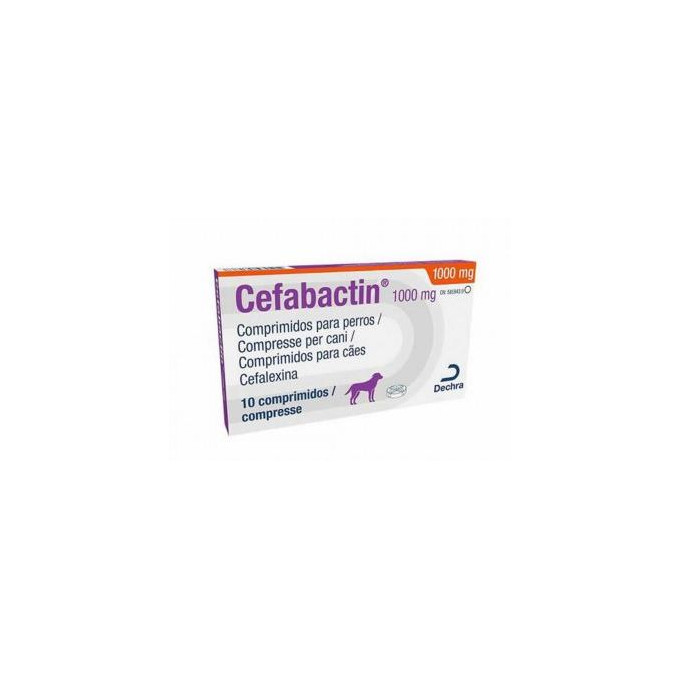 CEFABACTIN 1000 MG