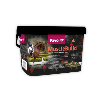 PAVO MUSCLEBUILD