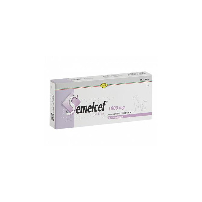 SEMELCEF 1000 MG