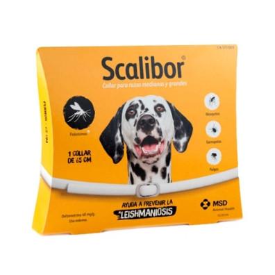 SCALIBOR 65 CM