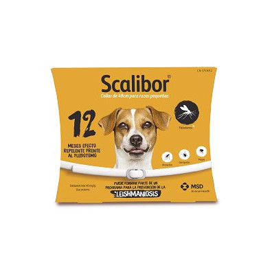SCALIBOR 48 CM