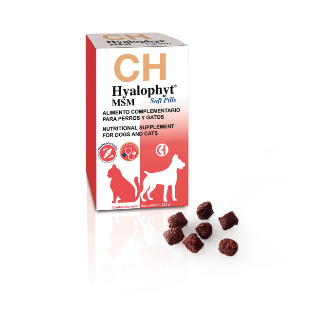 HYALOPHYT MSM SOFT PILSt