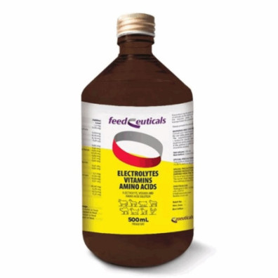 ELECTROLYTES ENV. 500 ML